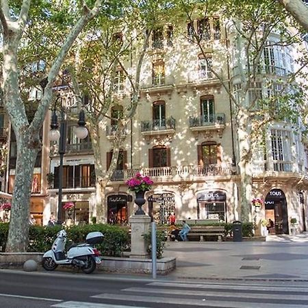 Comfortable Apartment With Character In The Old Town Palma de Mallorca Eksteriør billede
